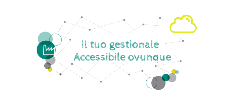 Il tuo gestionale accessibile ovunque